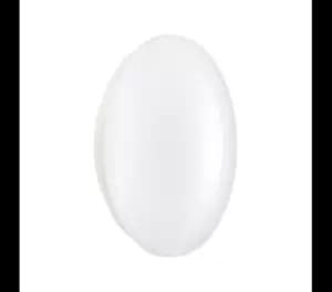 Philips Ledinaire IP44 LED Bulkhead 1700lm 345mm Cool White - 912401483076
