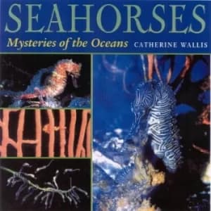 Seahorses by Catherine Wallis