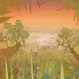 Pine Barons - Mirage On The Meadow Vinyl