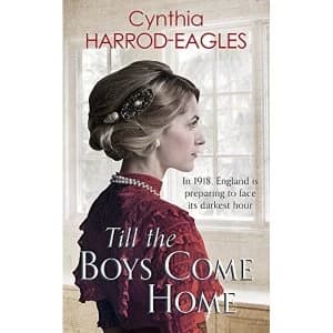 Till the Boys Come Home War at Home, 1918 Paperback / softback 2018