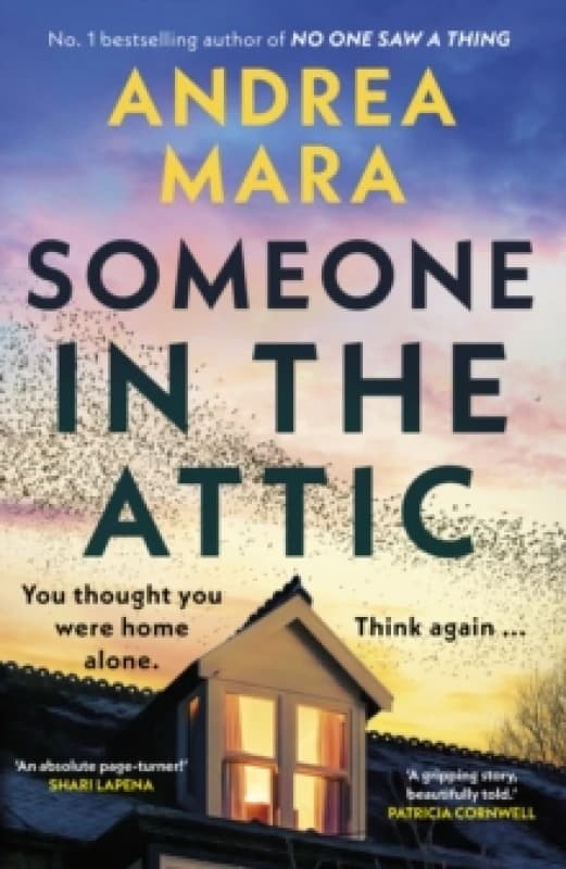Someone in the Attic Hardback