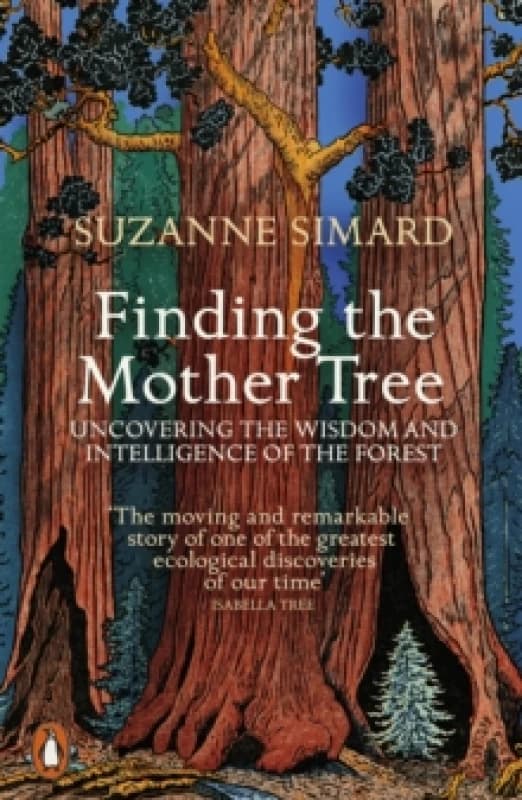Finding the Mother Tree. Paperback. By S Simard Books