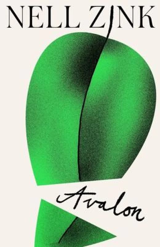 Avalon. Hardback. By Nell Zink Books