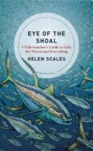 eye of the shoal a fishwatchers guide to life the ocean and everything