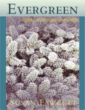 Evergreen by Susan Fawcett Paperback