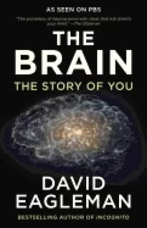 brain the story of you