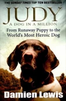 Judy by Damien Lewis Paperback