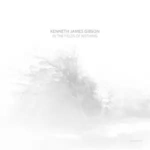 In the Fields of Nothing by Kenneth James Gibson CD Album