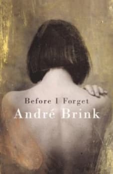 Before I Forget by Andr Brink Paperback