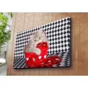 70100C-121 Multicolor Decorative Canvas Painting