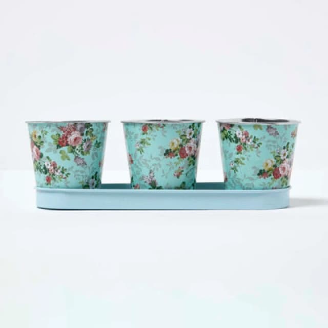 Homescapes Set Of 3 Herb Pots With Tray, Rose Print