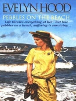 Pebbles on the Beach by Evelyn Hood Paperback