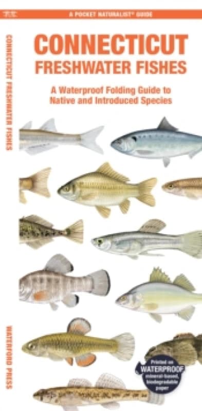 Connecticut Freshwater Fishes Pamphlet