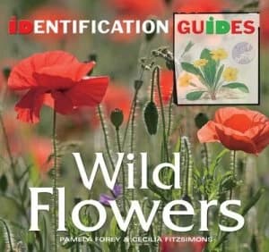 British and European Wild Flowers by Cecilia Fitzsimons Paperback