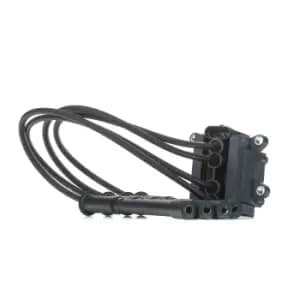 DELPHI Ignition coil RENAULT,DACIA CE20018-12B1 8200360911,8200702693,8200360911 Coil pack,Ignition coil pack,Engine coil,Engine coil pack 8200702693