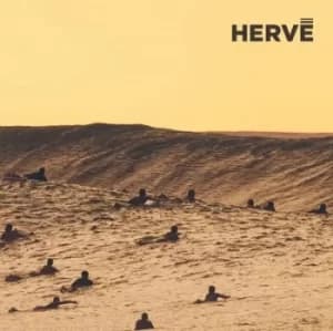 Hallucinated Surf by Herve Vinyl Album
