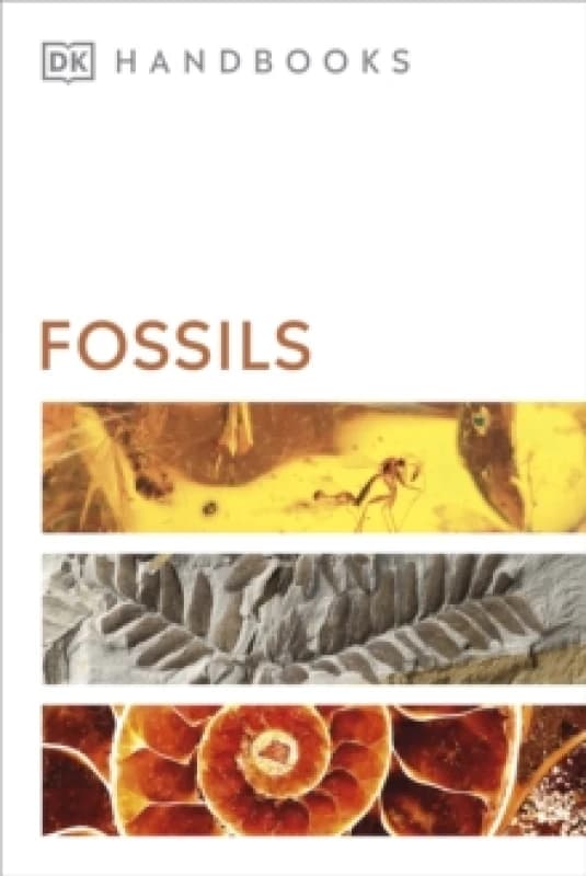Fossils Paperback / softback