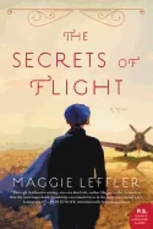secrets of flight a novel