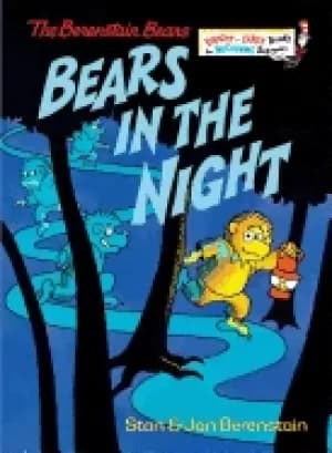 bears in the night