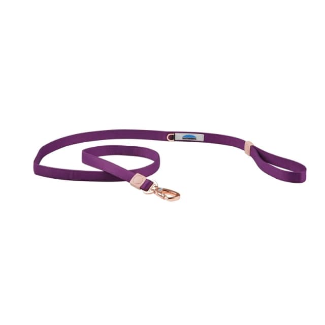 Weatherbeeta Elgnc Dg Ld L 99 - Purple Purple XS - S