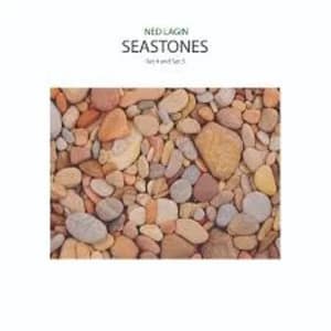 Ned Lagin – Seastones Set 4 and Set 5 Vinyl