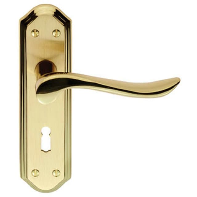 Loops PAIR Curved Lever on Sculpted Edge Backplate 180 x 48mm Satin/Polished Brass Metallics