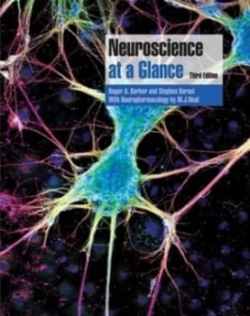 Neuroscience at a Glance by Roger A. Barker Paperback