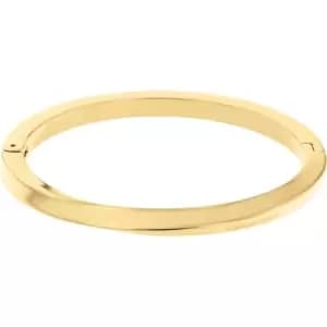Ladies Calvin Klein Gold IP Bangle