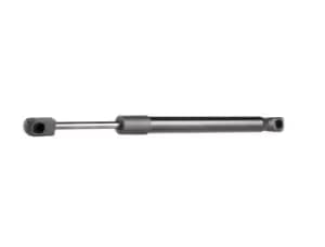 RIDEX Tailgate strut 219G0128 Gas spring, boot- / cargo area,Boot struts VW,Jetta Mk5 (1K)