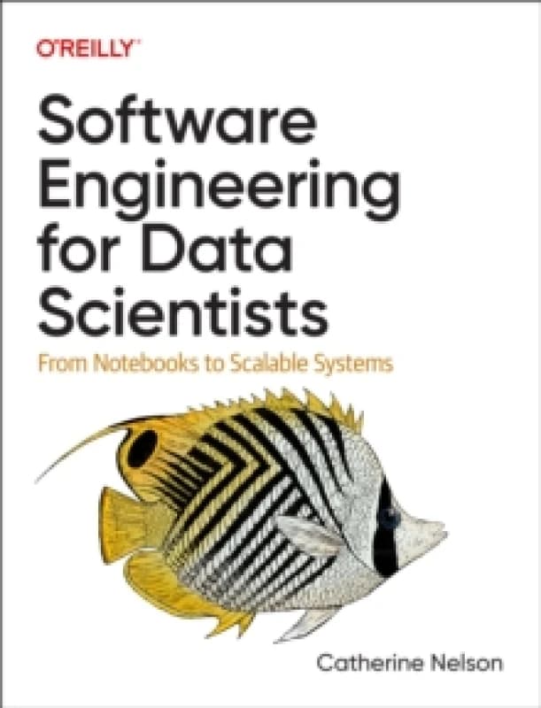 Software Engineering for Data Scientists : From Notebooks to Scalable Systems Paperback / softback