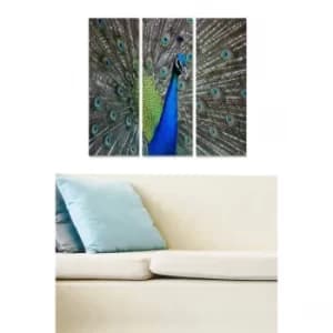 MDF2201428 Multicolor Decorative MDF Painting (3 Pieces)