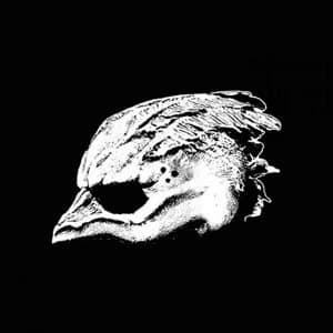 Legend Of The Seagullmen - Legend Of The Seagullmen Vinyl