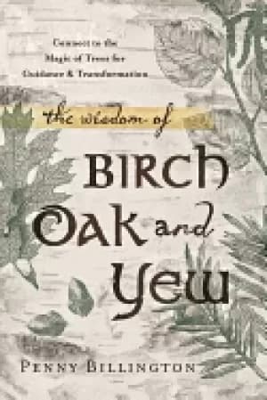 wisdom of birch oak and yew connect to the magic of trees for guidance and