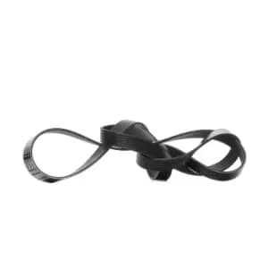 Bosch V-ribbed belt MERCEDES-BENZ,FORD,RENAULT 1 987 945 985 9676553180,1102827,1206466 1731727,1S7Q6C301CA,2C1Q6C301AA,CC1Q6C301CB,C2S27001,MW8642562