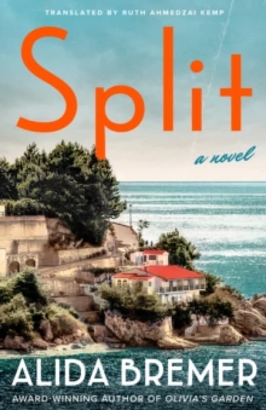 Split : A Novel Paperback / softback