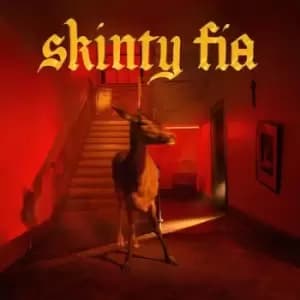 Skinty Fia by Fontaines D.C. CD Album