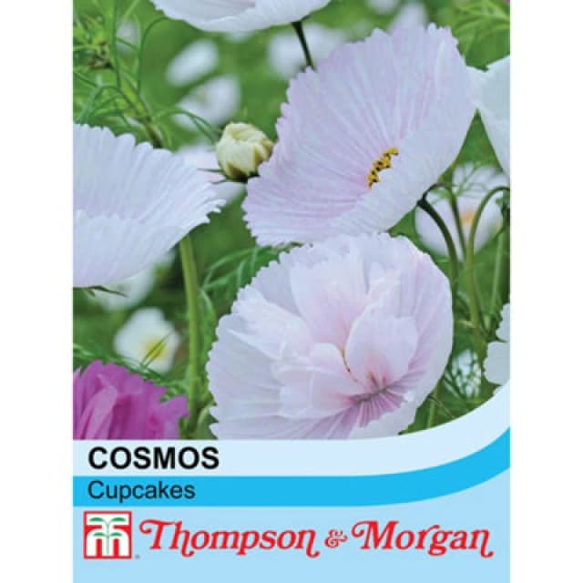 Thompson & Morgan Cosmos Bipinnatus Cupcakes 1 Seed Packet (100 Seeds)