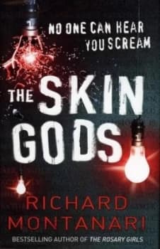 The Skin Gods by Richard Montanari Hardback