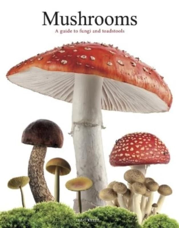 Mushrooms : A guide to fungi and toadstools Paperback / softback