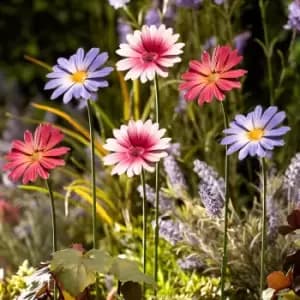 Garden Gear Metal Daisy Stake Pack Of 6 Purple Pink Magenta