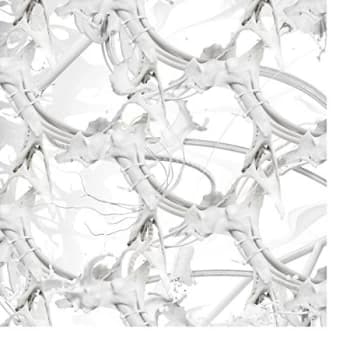 Ziúr - U Feel Anything? CD