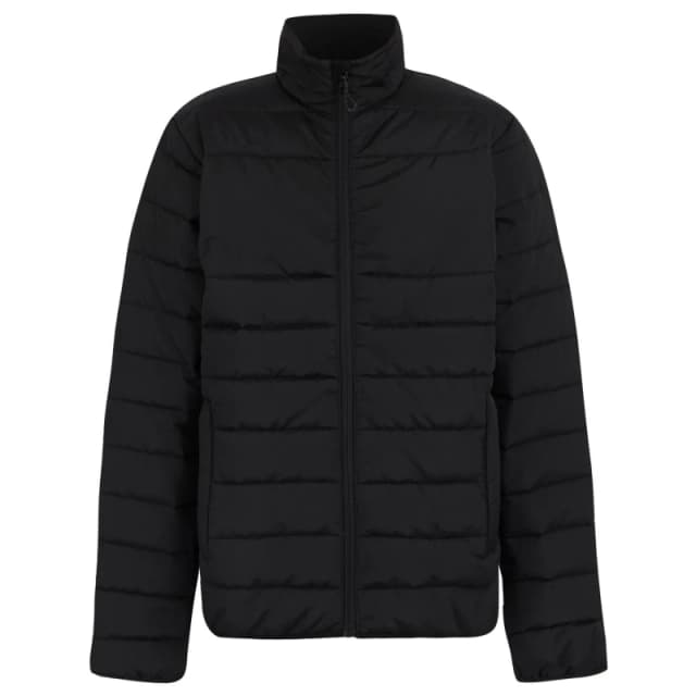 Regatta Professional Mens Essential Thermal Padded Jacket in Black Size: Small Black Male S