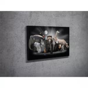 DC022 Multicolor Decorative Canvas Painting