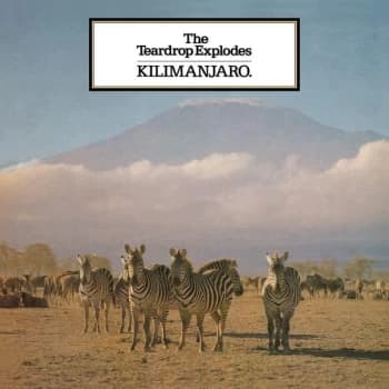 The Teardrop Explodes - Kilimanjaro Vinyl