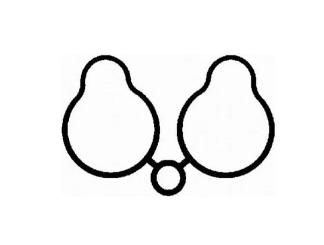 REINZ 70-34361-00 Intake Manifold Gasket Gasket,intake manifold (42)