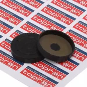 TOPRAN Plug, rocker arm shaft mounting bore OPEL,RENAULT,NISSAN 700 143 7700106271,7700106383,1104800QAA 4410493,7700106271,7700106383,93160234