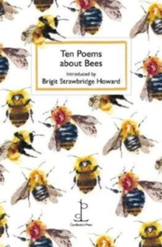 Ten Poems about Bees Paperback / softback