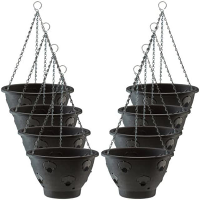 Thompson & Morgan Bloomaround Hanging Basket X8 (30Cm)