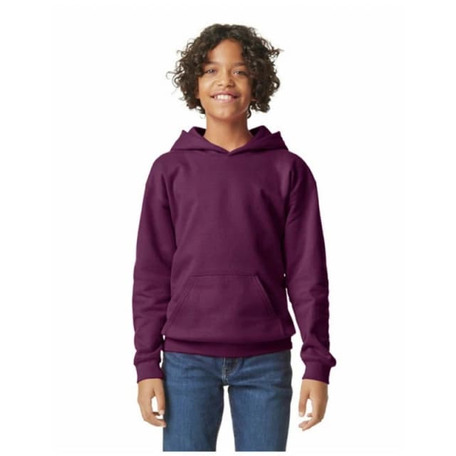 Gildan Softstyle boys's Children's sweatshirt in Purple