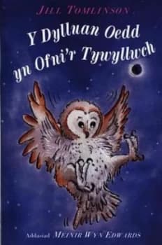 Y Dylluan Oedd Yn Ofnir Tywyllwch by Jill Tomlinson Paperback